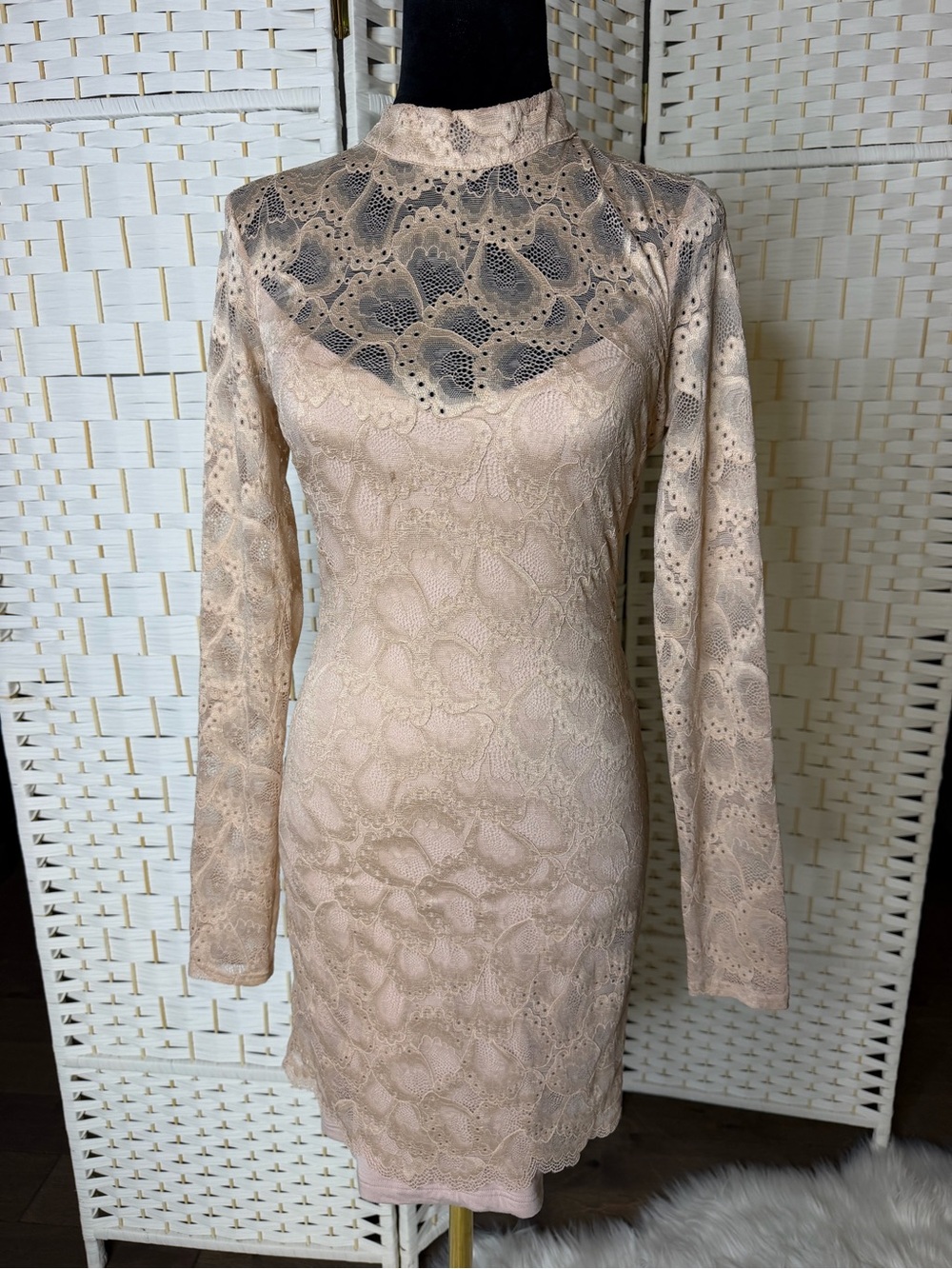 bebe Nude Lace Long-Sleeve High-Neck Mini Dress